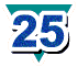 25