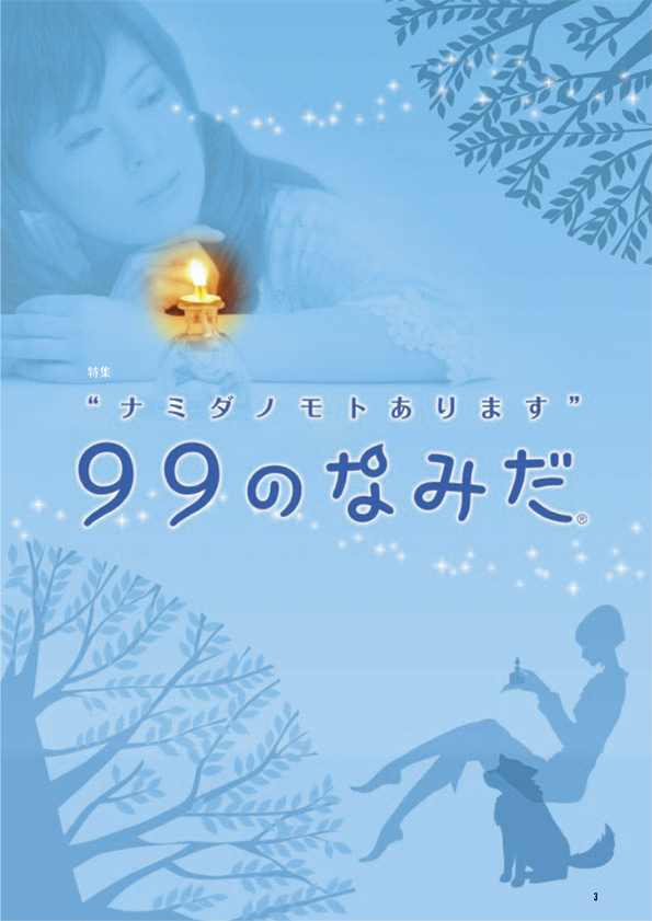 B-NOURS/2008 vol.08 : 03
