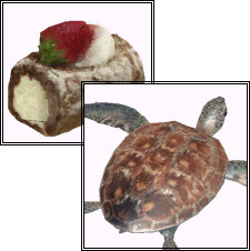 テクスチャサイズ画像