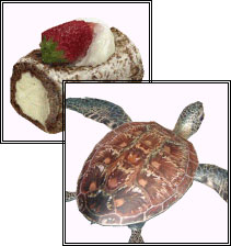 テクスチャサイズ画像