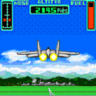 Airstrip Landing画像