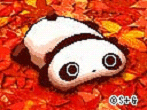 たれぱんだ画像