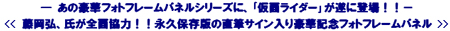 ライダーヒーローメモリアル