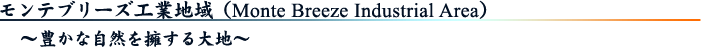 ƥ֥꡼ϰMonte Breeze Industrial Areaˡ˭ʼʤϡ