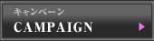 CAMPAIGN