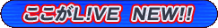 ������LIVE NEW!!