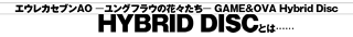 HYBRID DISCとは…
