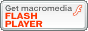 Windows Media Player