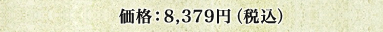 価格：未定