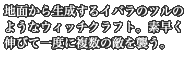 地面から生成するイバラのツルのようなウィッチクラフト。素早く伸びて一度に複数の敵を襲う。