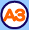 A3