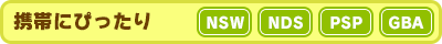携帯にぴったり NDS PSP GBA
