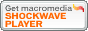 shockwave player