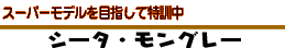 X[p[fڎwēP