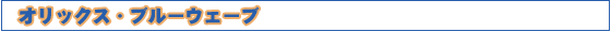 IbNXEu[EF[u