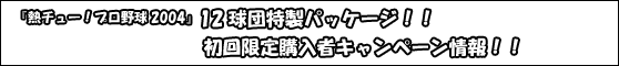 wM`[Iv싅2004x12cpbP[WIIwM`[Iv싅2004xw҃Ly[II