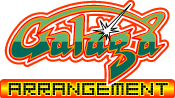 GALAGA ARRANGEMENT