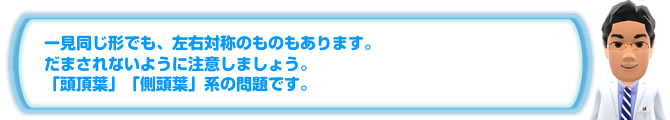 一見同じ形でも、左右対称のものもあります。だまされないように注意しましょう。「頭頂葉」「側頭葉」系の問題です。