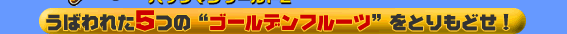 ꂽ5́gS[ft[chƂǂI
@pbN}[h2@