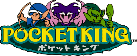 �|�P�b�g�L���O