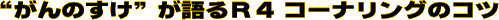 ĝhqS R[iÕRc