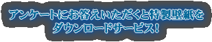 ���󥱡��Ȥˤ��������������������ɻ�����������ɥ����ӥ���