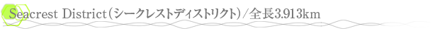 Seacrest District�ʥ������쥹�ȥǥ����ȥꥯ�ȡ�/��Ĺ3.913���