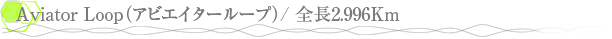 Aviator Loop�ʥ��ӥ��������롼�ס�/ ��Ĺ2.996Km