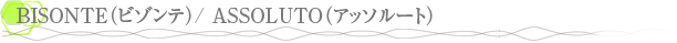 BISONTE�ʥӥ���ơ�/ ASSOLUTO�ʥ��å��롼�ȡ�