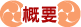 概要