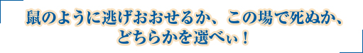 ͤΤ褦ƨ뤫ξǻ̤ɤ餫٤