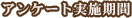 ���󥱡��ȼ»ܴ���