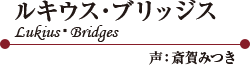륭֥åLukiusBridgesˡزߤĤ
