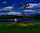 flying.gif
