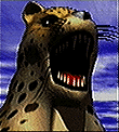 king-face.gif