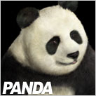 PANDA.