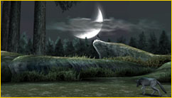 鉄拳 TEKKEN DARK RESURRECTION | 製品紹介 | バンダイナムコ