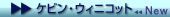 ӥ󡦥˥å