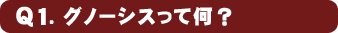 Q1.�O�m�[�V�X���ĉ��H